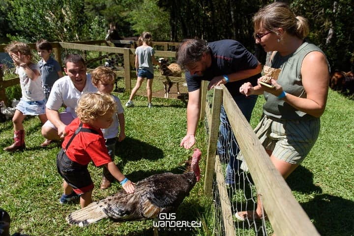 Convidados com os animais da fazendinha