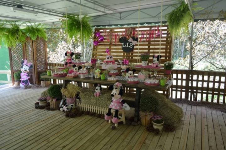Festa com tema Minnie na fazenda no Chalé do Lago