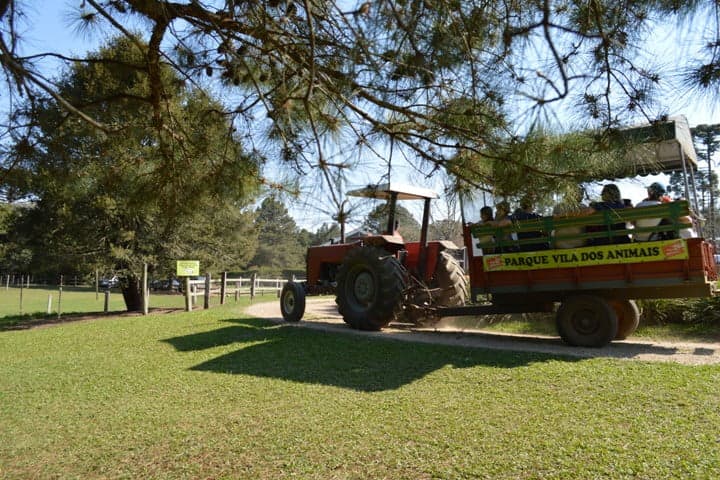 Família no passeio rural