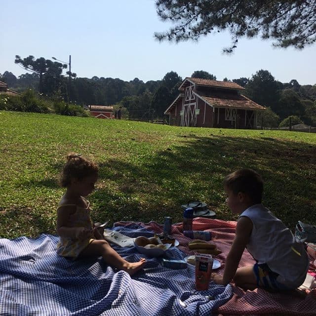Piquenique na grama com o celeiro vermelho ao fundo