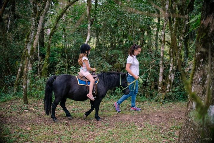 Passeio de pônei na mata