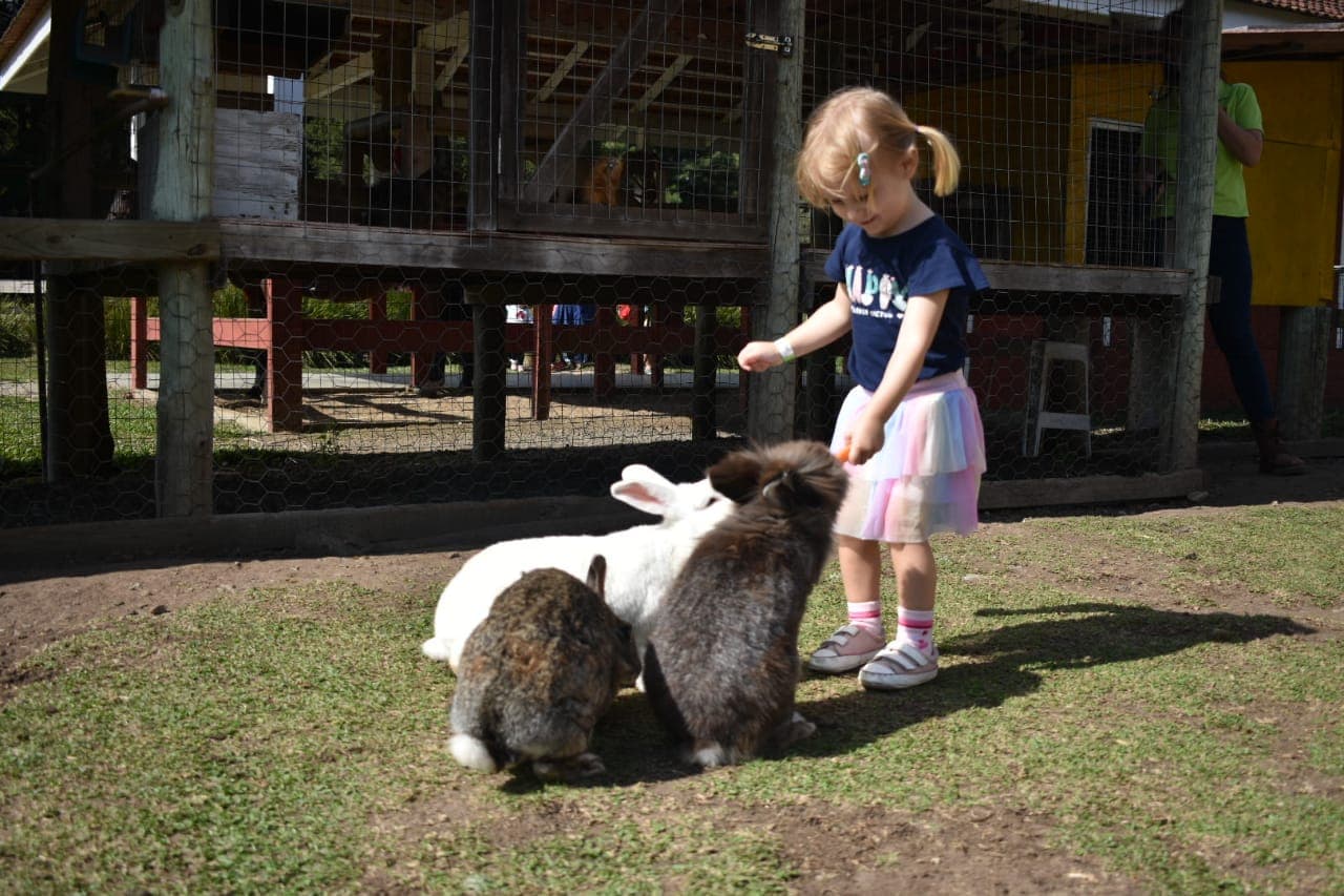 Criança alimentando os coelhos na mini fazendinha